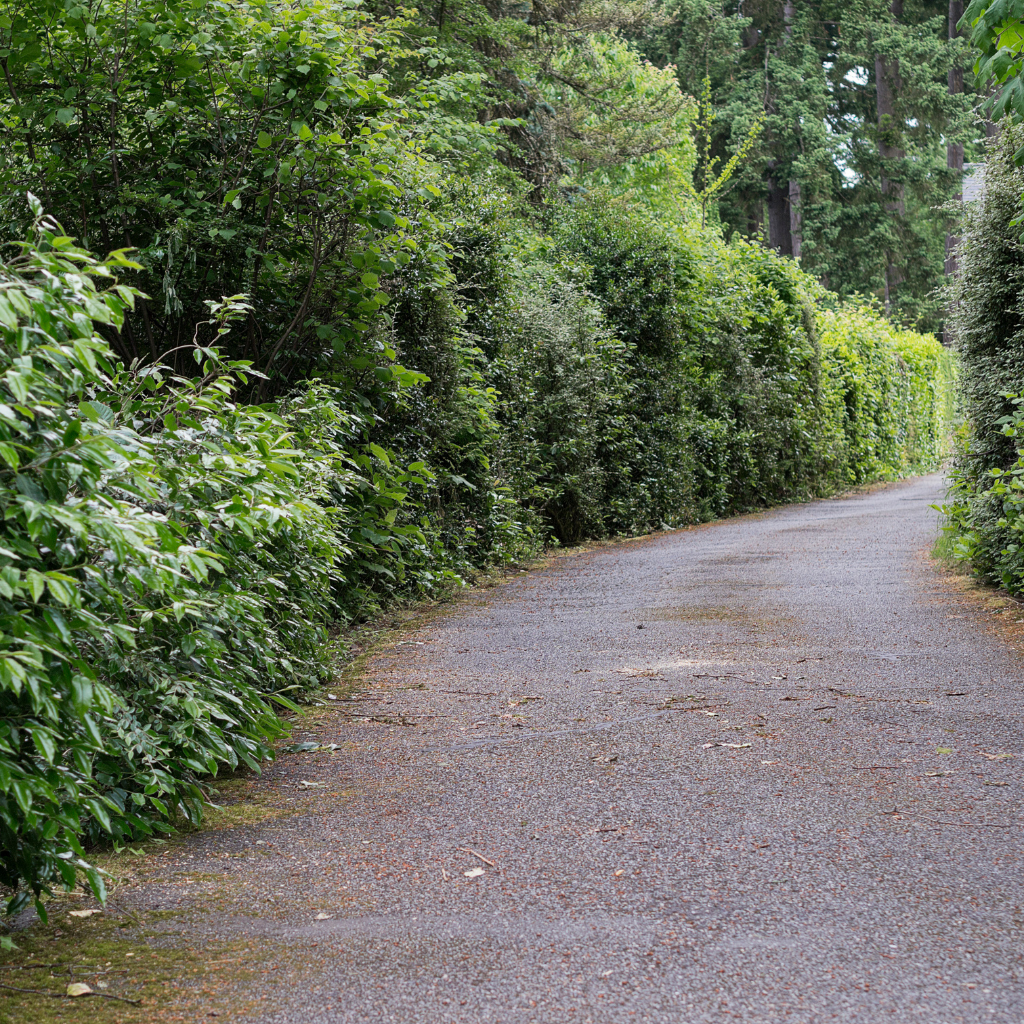 Quality Tarmaced Driveway by WCD Greasby driveway company